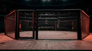 UFC Fractional Odds: How to Read and Calculate Them